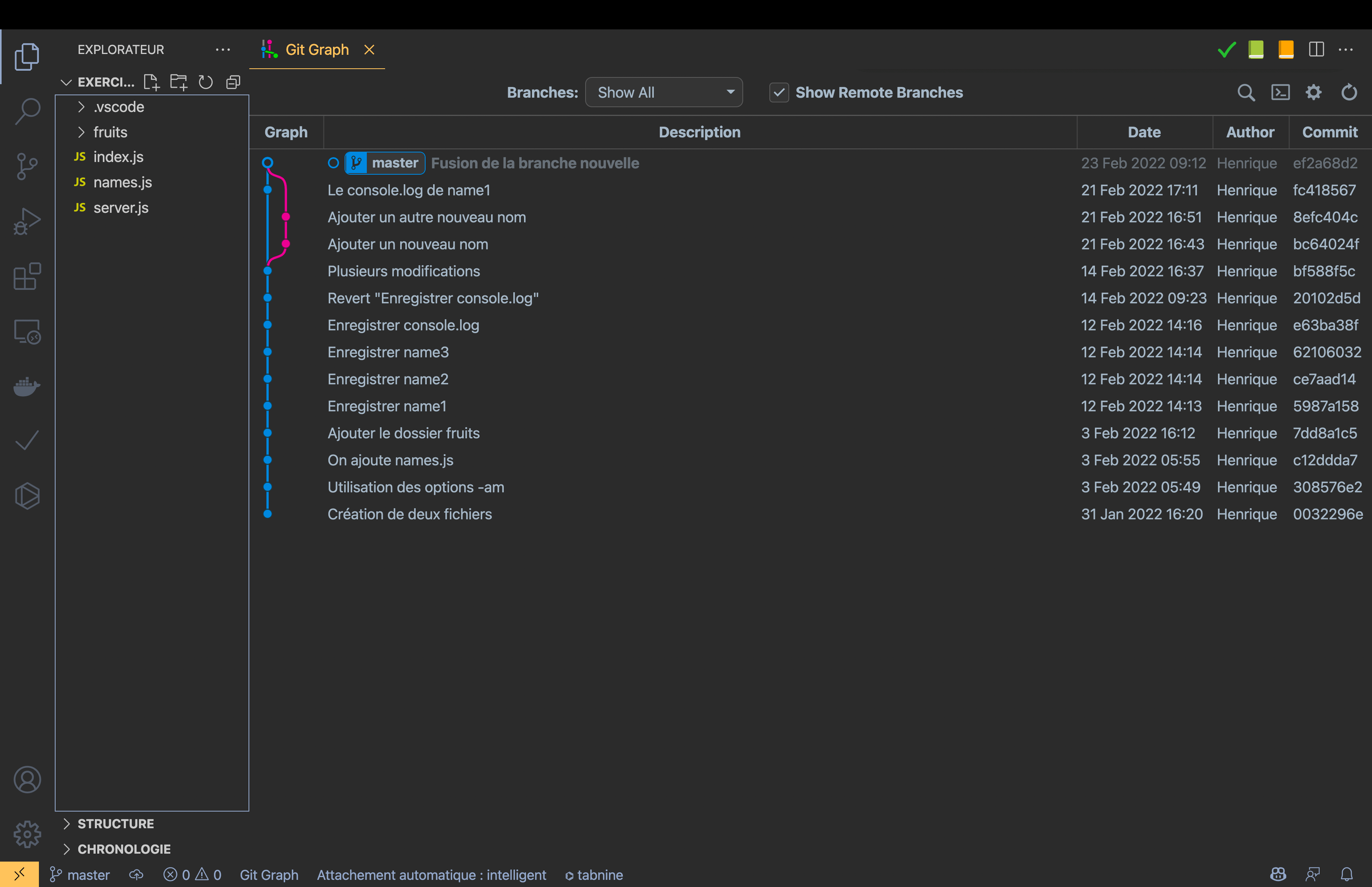 Représentation du projet exercice dans Git Graph