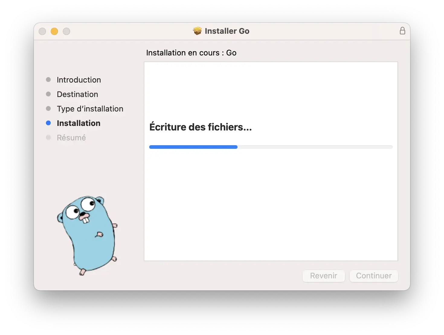 Installation en cours : Go