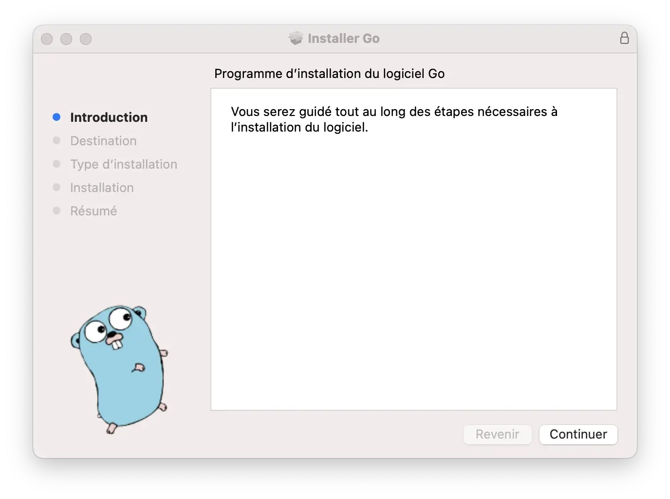 Programme d'installation du logiciel Go