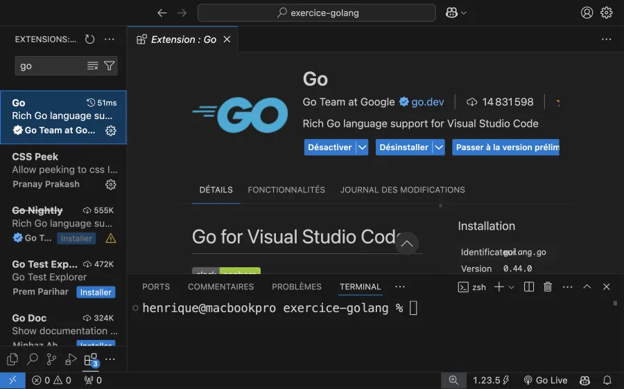 Installer une extension Go